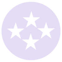 Diamond Sponsor Icon